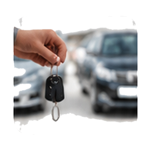 Used Car Dealers