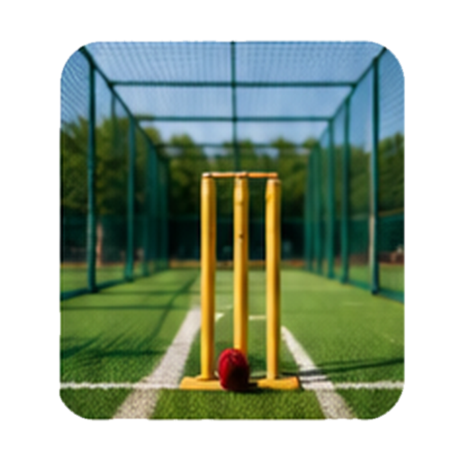 Cricket Academies