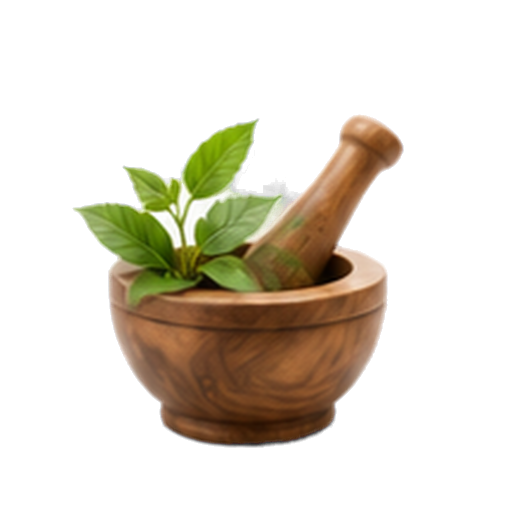 Ayurvedic Hospitals