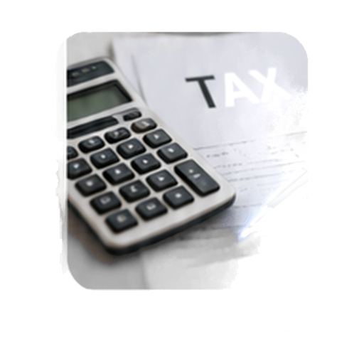 Tax Consultant