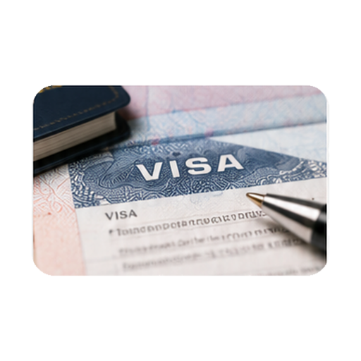 Visa Services